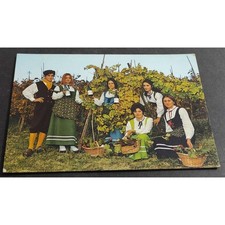 Cartolina Casorzo Monferrato (Asti) - Zona Tipica del Malvasia