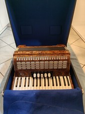 Fisarmonica campione del mondo