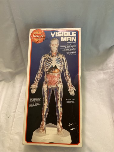 Kit anatomico vintage
