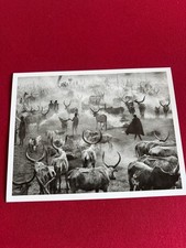 Sebastião Salgado - Mago National Park, Ethiopia (Genesis, 2007)