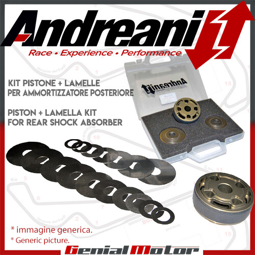 Kit pistone andreani - pistone,