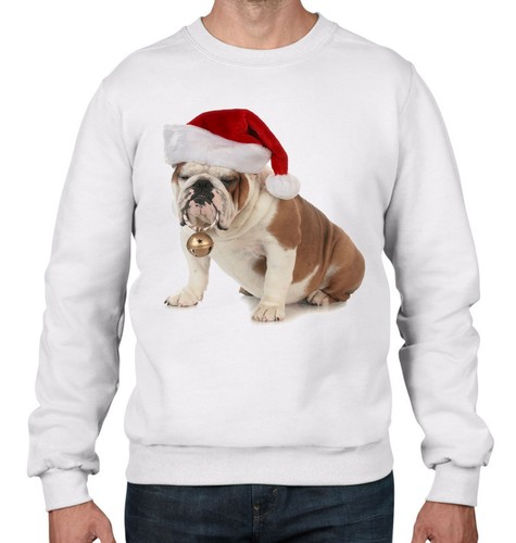 Bulldog con babbo - con,