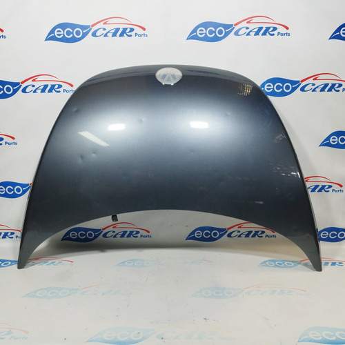 Cofano grigio scuro volkswagen - cofano,