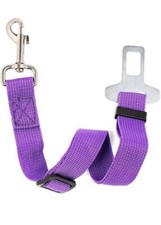 Cintura sicurezza cani cane