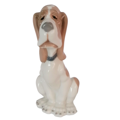 Nao sad basset - sad, dog