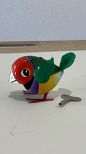 Vecchio uccellino lilo - lilo, in