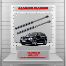 2 MOLLE A GAS BAGAGLIAIO PER