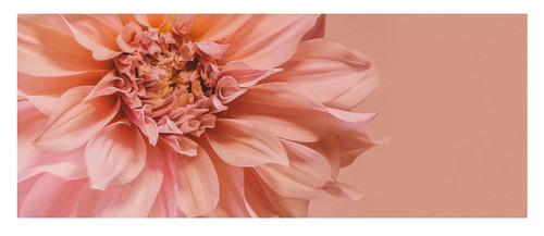 Quadro ikea bjorksta fiori - quadro,