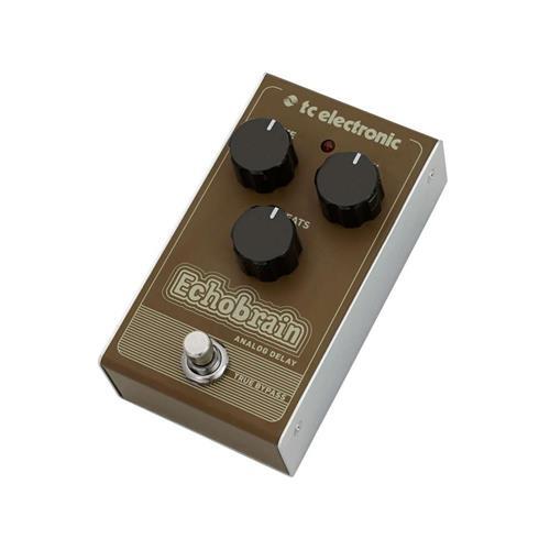Electronic echobrain analog - electronic,