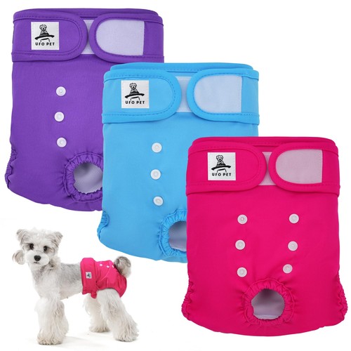 Mutandine cane femmina calore - cane,