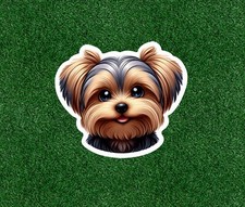 Cute Yorkshire Terrier yorkie