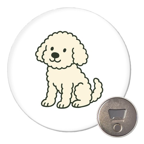 Calamita maltipoo - calamita,