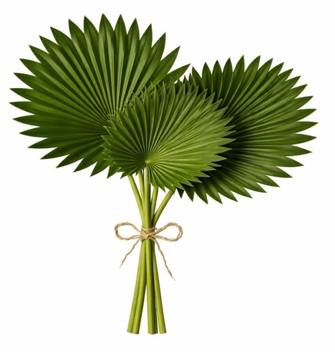 Ventaglio artificiale foglie - ventaglio,