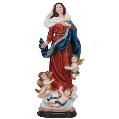 Statua inmaculada concepcion - statua,