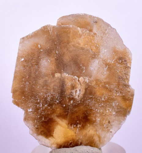 Moneta dollaro selenite - cm,