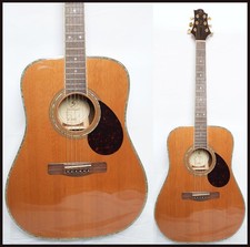 Samick by Greg Bennett Design