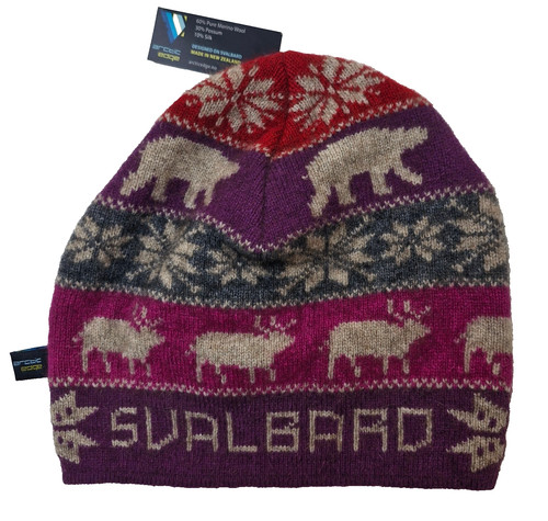 Cappello berretto arctic - cappello, edge