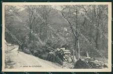 Varese Cunardo cartolina QK5267