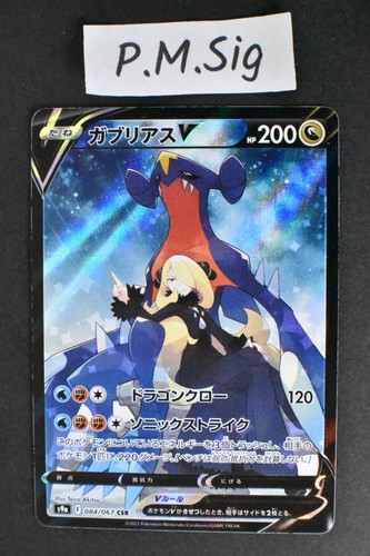 Garchomp 084 067 battle - v,