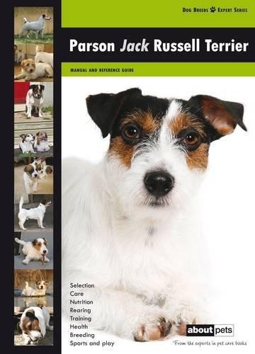 Parson jack russell terrier - parson,