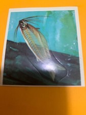 FIGURINA N.321 IL  MONDO DEGLI