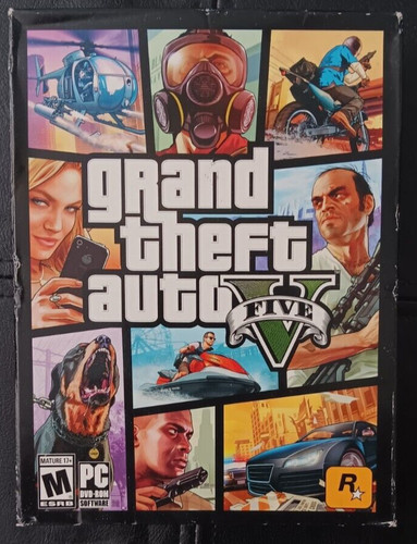 Grand theft auto - theft, v