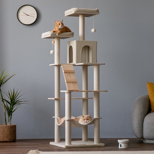 Torre albero gatto - , grande