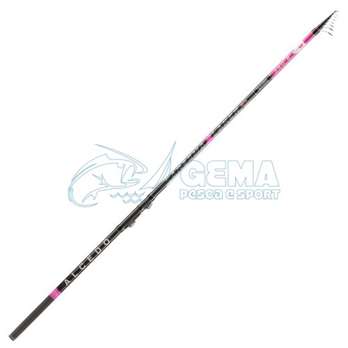 Canna alcedo carisma laker - canna,
