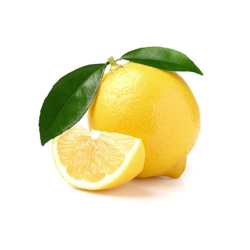 Pianta limone dolce - pianta,