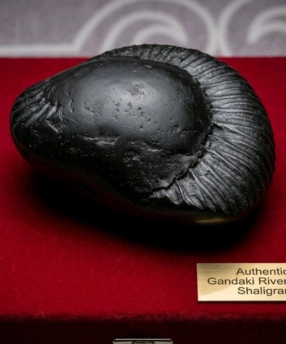 Original shaligram from nepal - original,