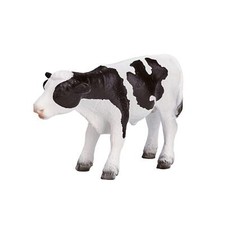 Holstein vitello in piedi