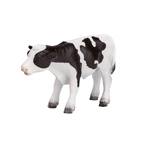 Holstein vitello piedi - holstein, in