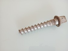 Vecchio chiodo vite