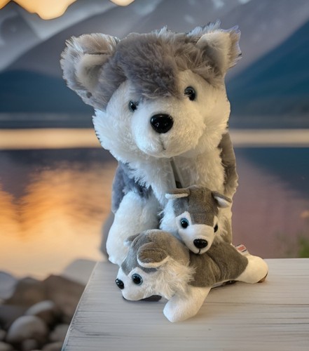Peluche huskie con - huskie,