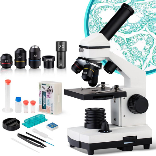 Microscopio per bambini - per,