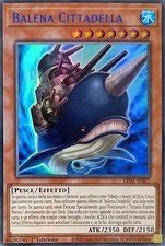 Balena Cittadella (Titolo Blu)