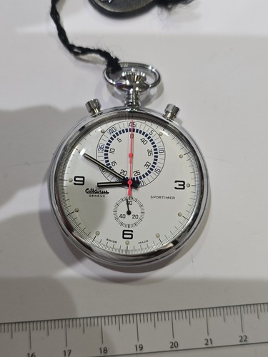 Altanus sportimer - altanus,
