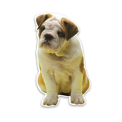 Adesivo regalo bulldog - regalo:, non