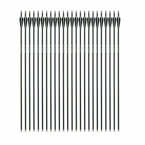 24pz frecce fibra di - 31",