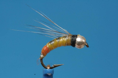 Fliegentom pezzi palaretta - fliegentom,