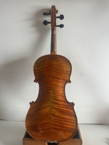 Violino modello stainer - violino,