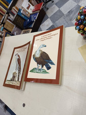 Catalogo della collezione