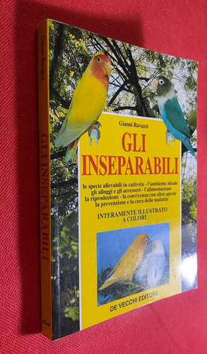 Gianni ravazzi gli - gianni,