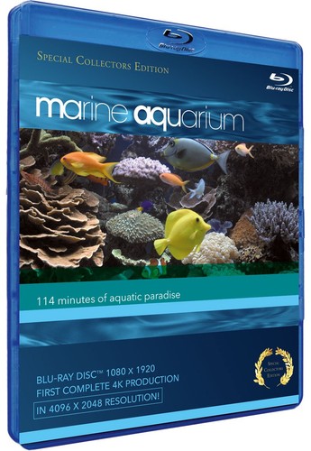 Marine aquarium special - aquarium, (special