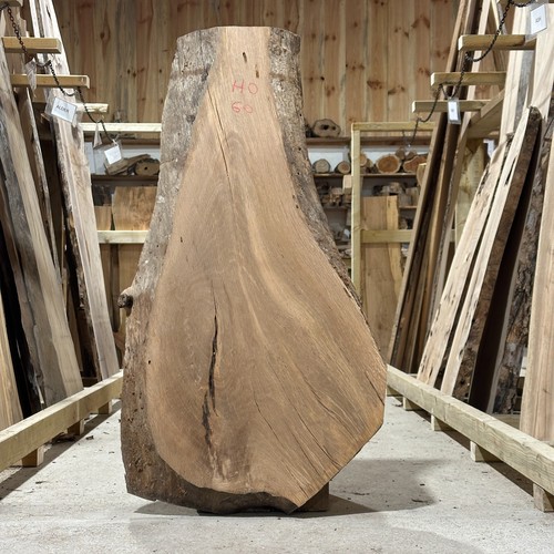Tavola legno rovere - di,