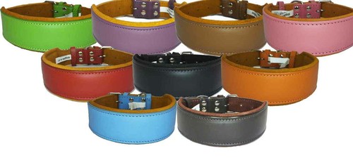 Collare per cani pelle - ,
