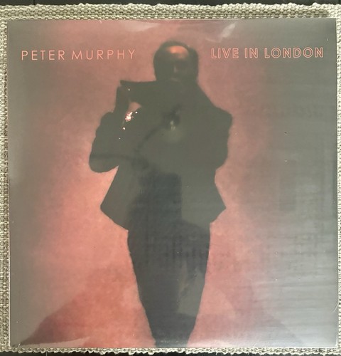 Peter murphy live london - peter,