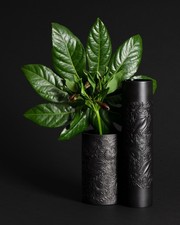 Vaso Rosenthal Duo Bjørn