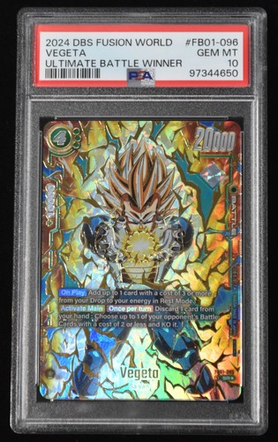 2024 vegeta fb01 - 2024,