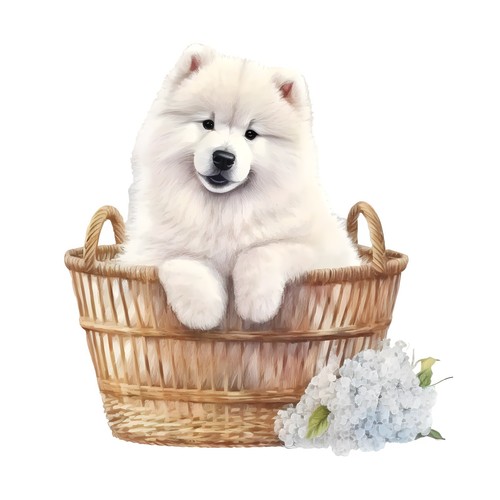 Adesivi samoiedo cane - samoiedo,